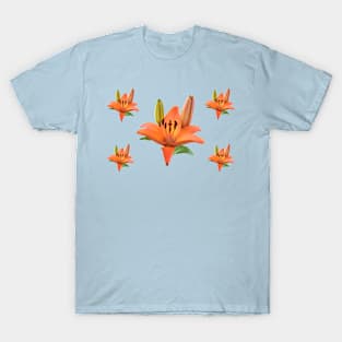 Lilium  &#39;Orange Pixie&#39;  Dwarf Asiatic lily T-Shirt